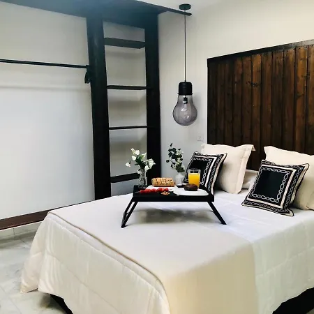 Canaryislandshost L 公寓